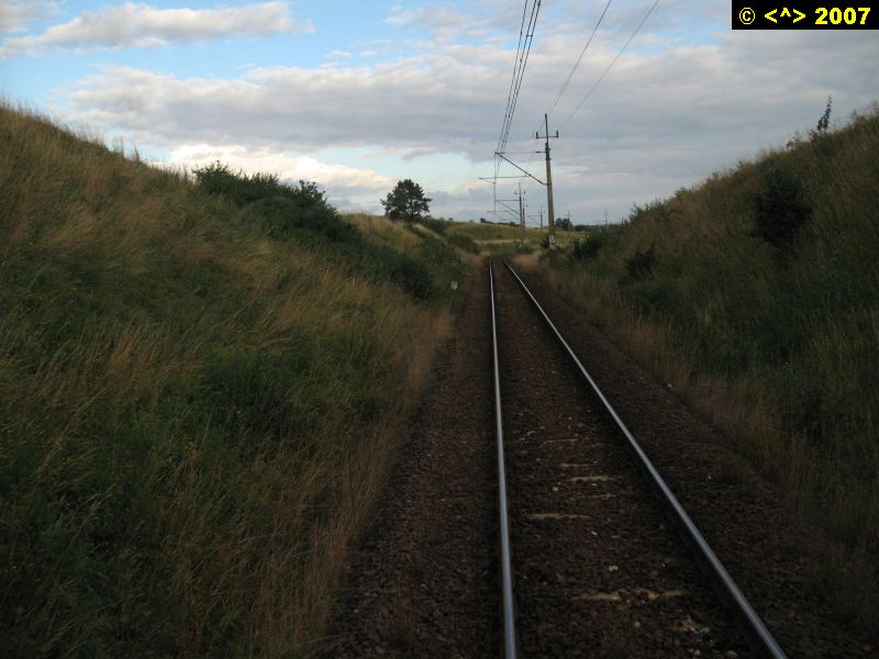 D0000435.jpg