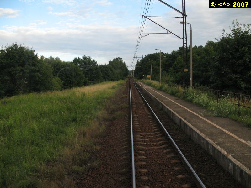 D0000439.jpg