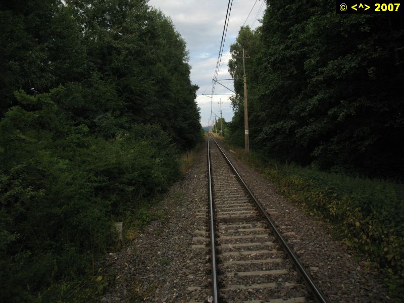 D0000442.jpg