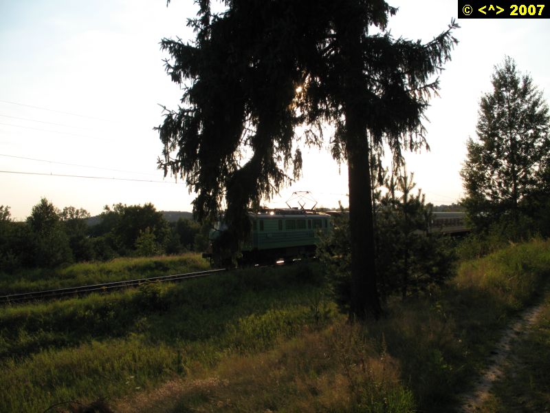 D0000955.jpg