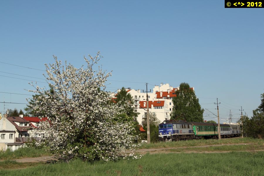 D0004031.jpg