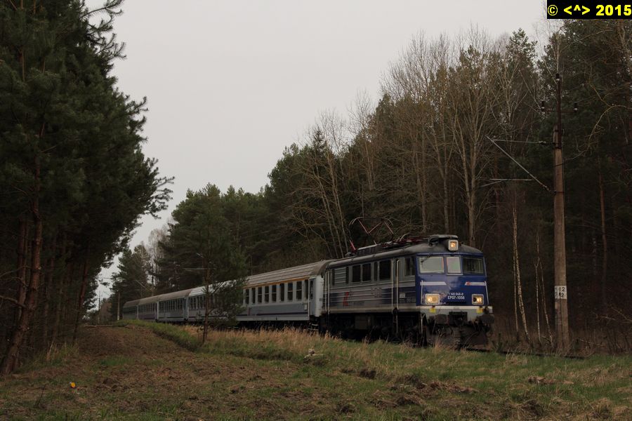 D0008000.jpg