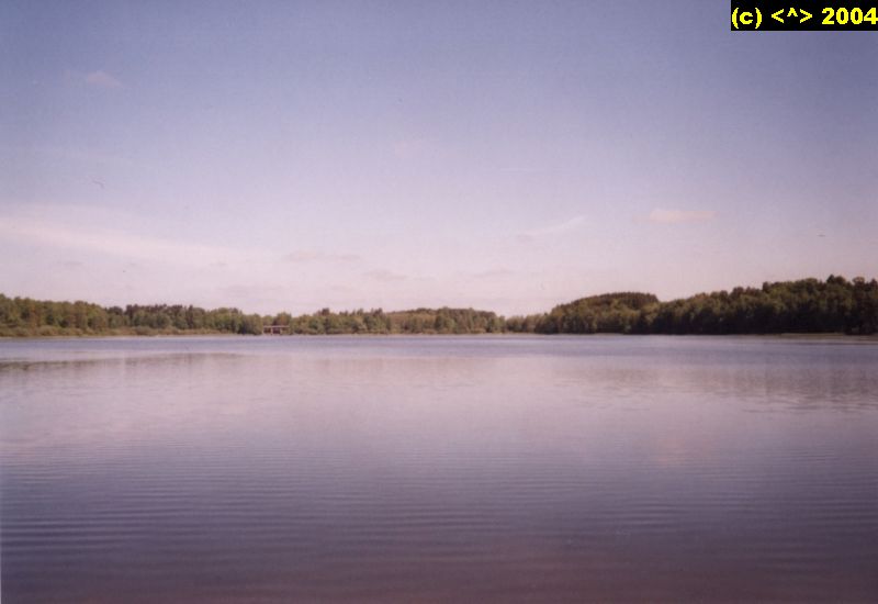 DD_02_70.jpg