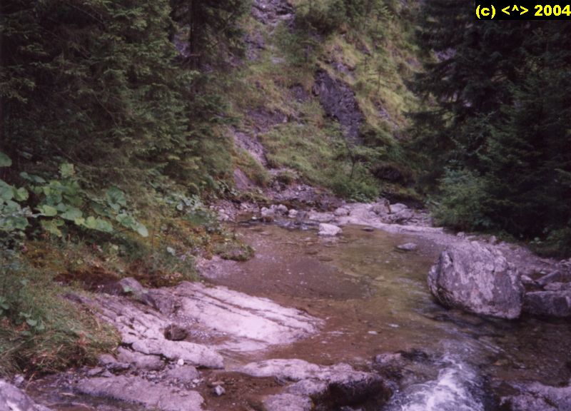 DD_03_79.jpg