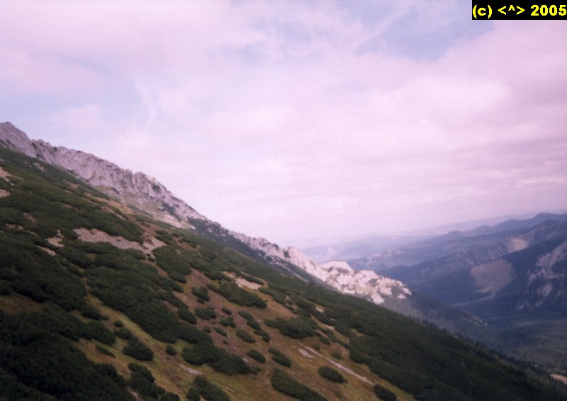 DD_05_90.jpg