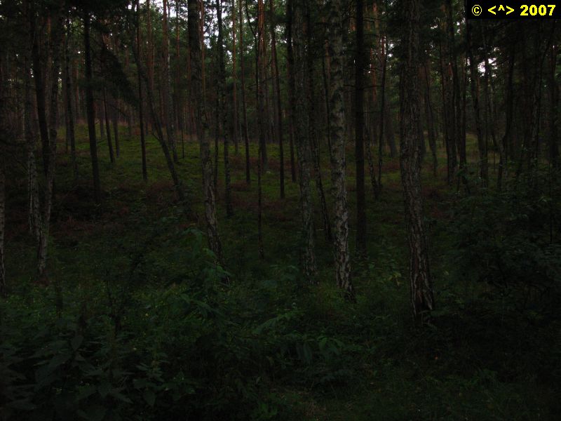 P0000057.jpg