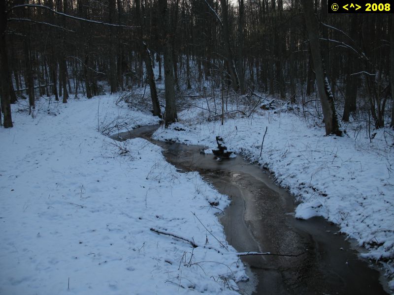 P0000115.jpg