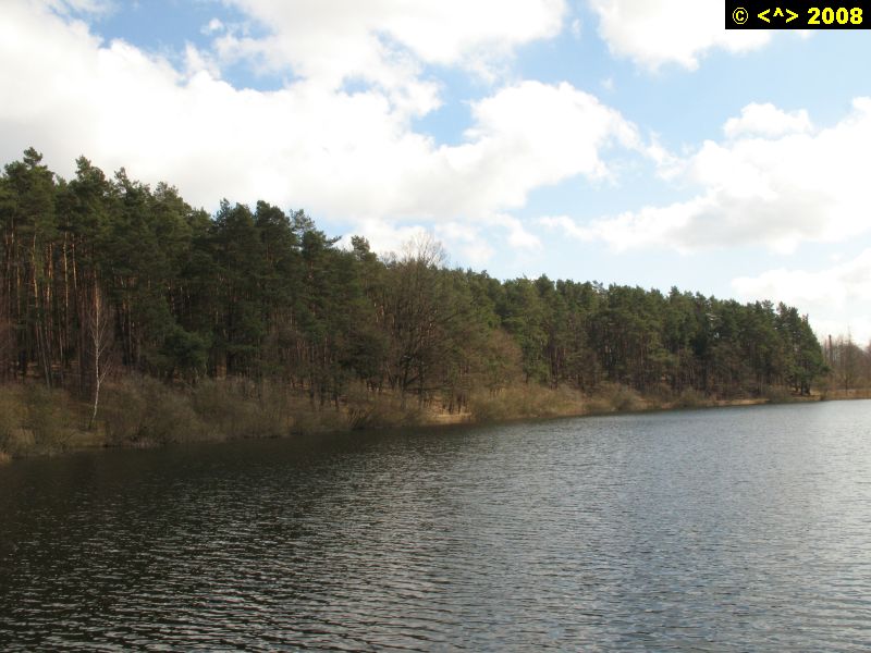 P0000117.jpg