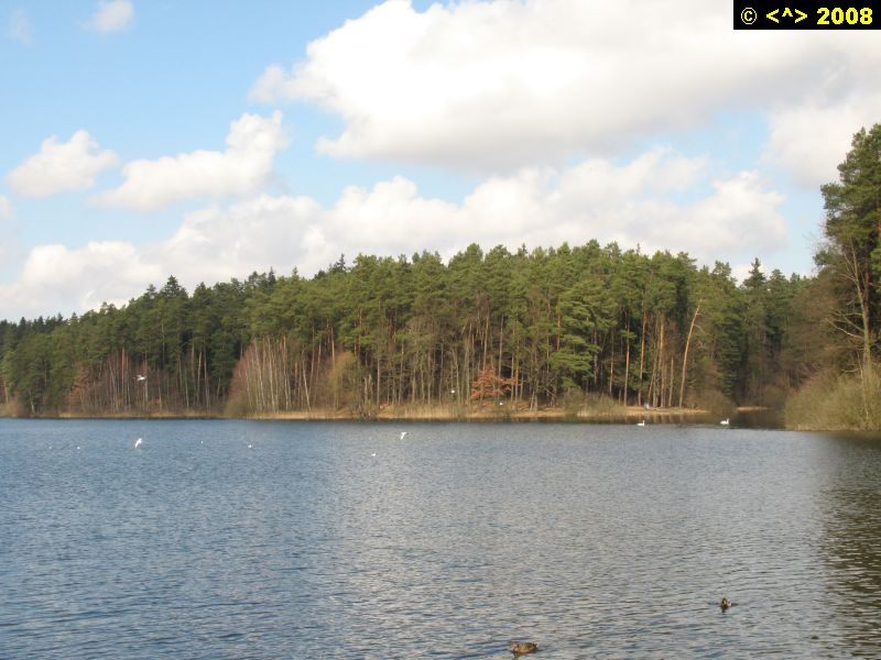 P0000118.jpg