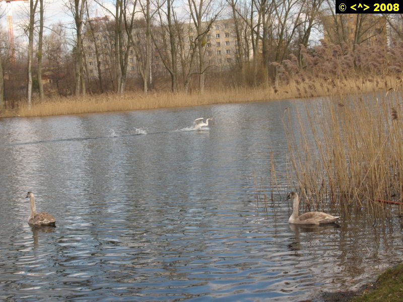 P0000120.jpg