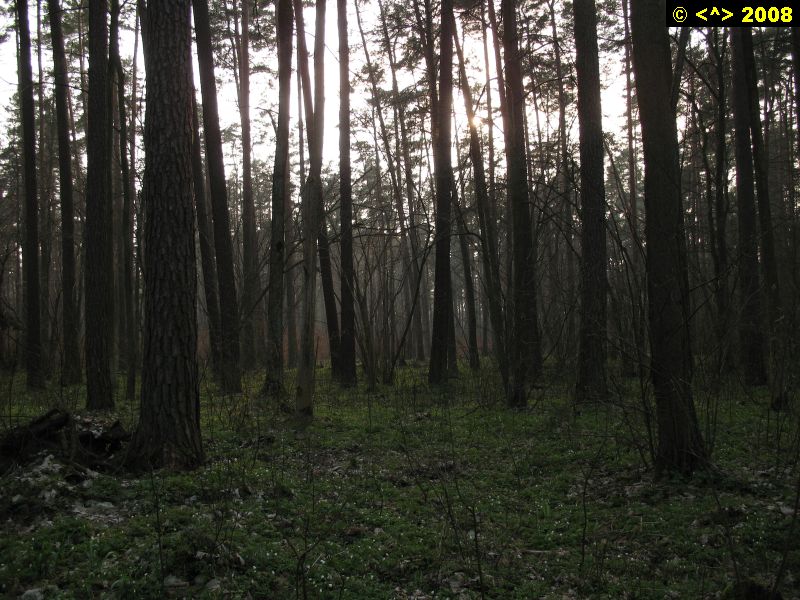 P0000122.jpg