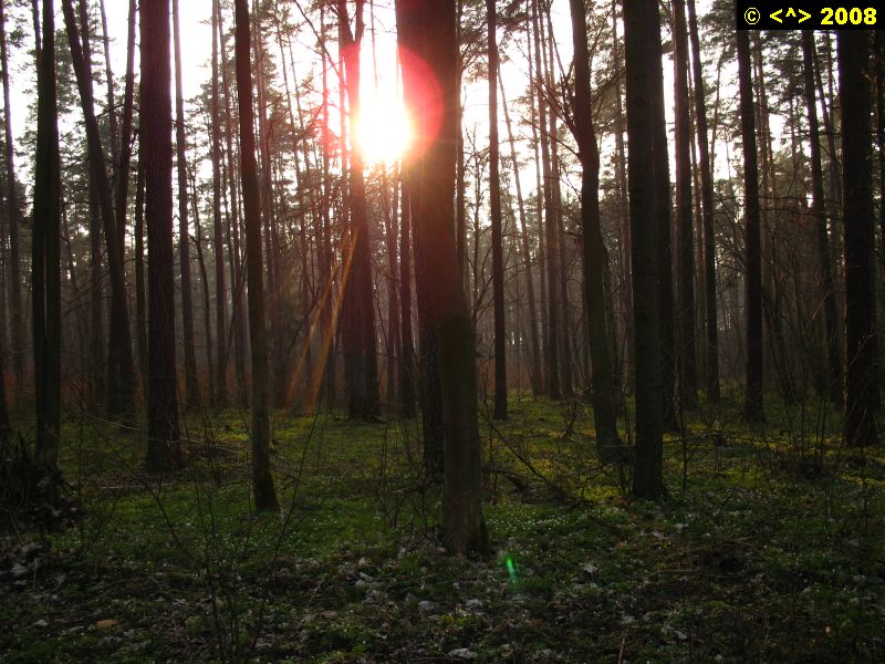P0000123.jpg