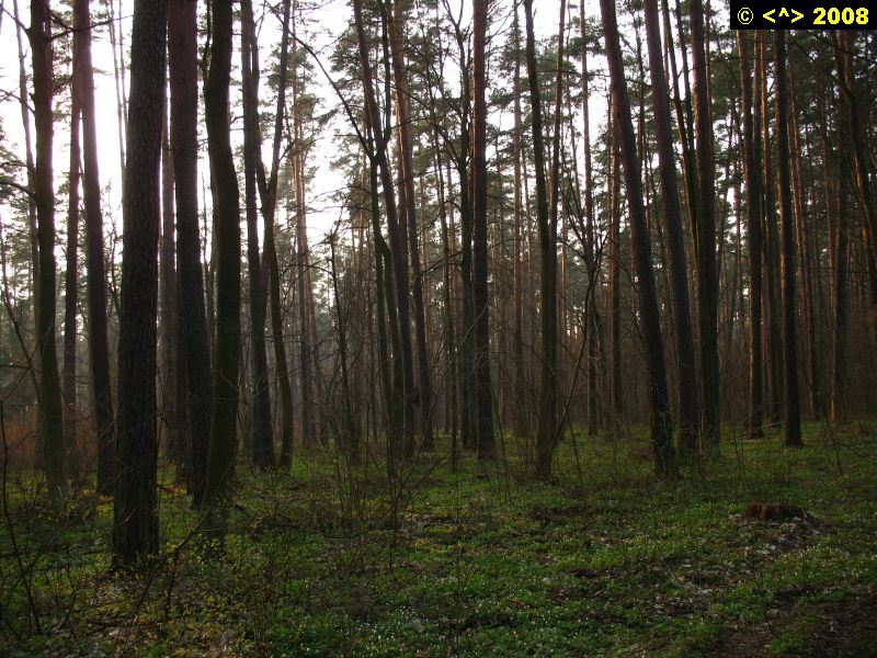 P0000124.jpg