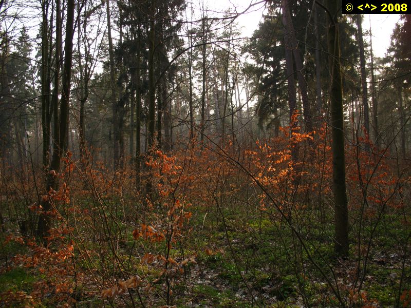 P0000125.jpg