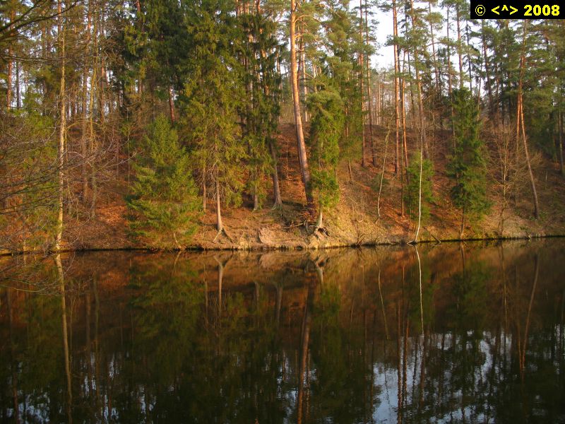 P0000126.jpg