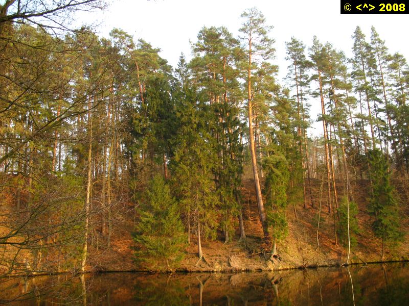 P0000127.jpg