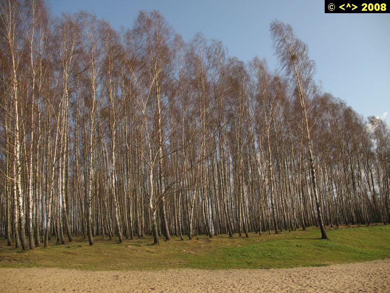 P0000128.jpg
