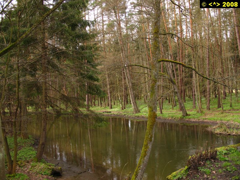 P0000132.jpg