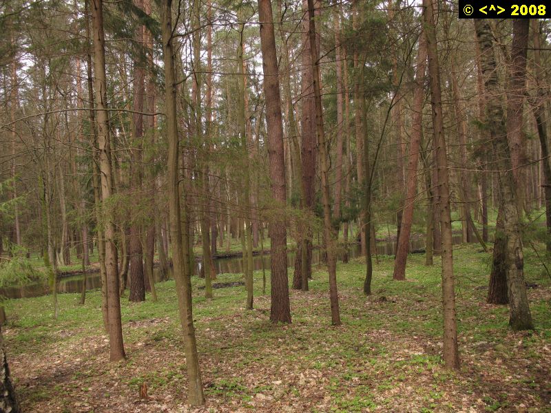 P0000133.jpg