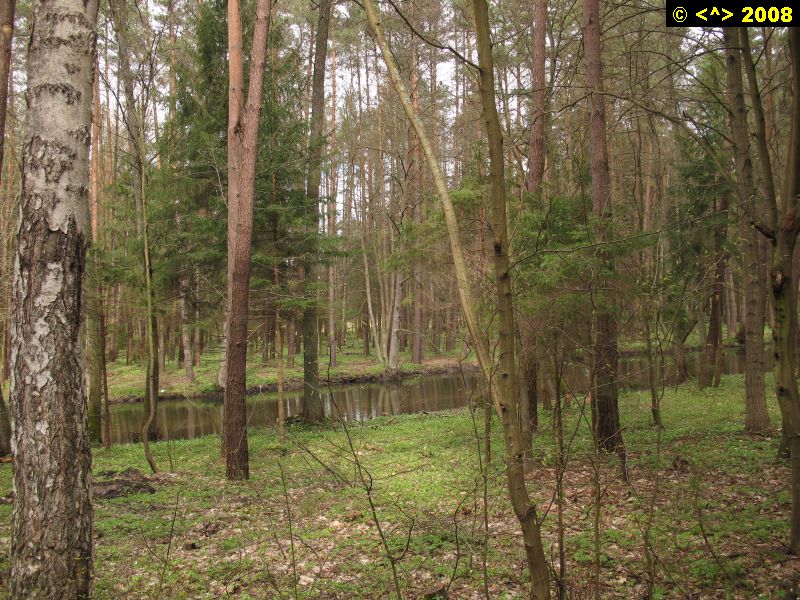 P0000134.jpg