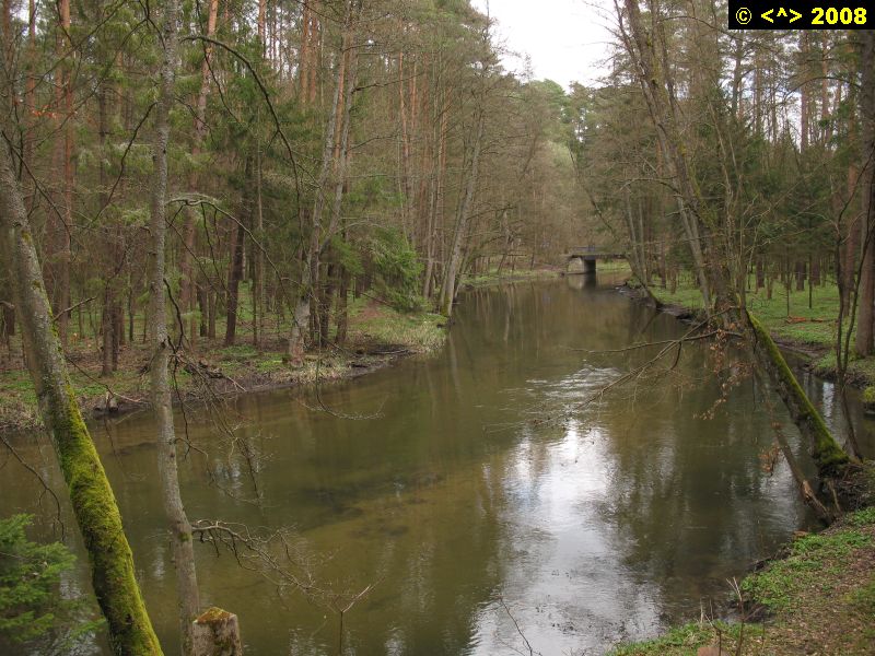 P0000135.jpg