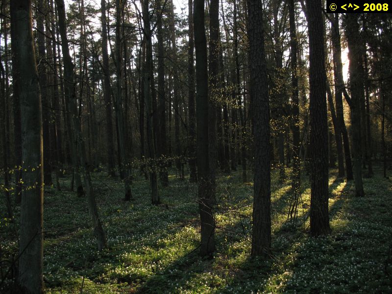 P0000137.jpg