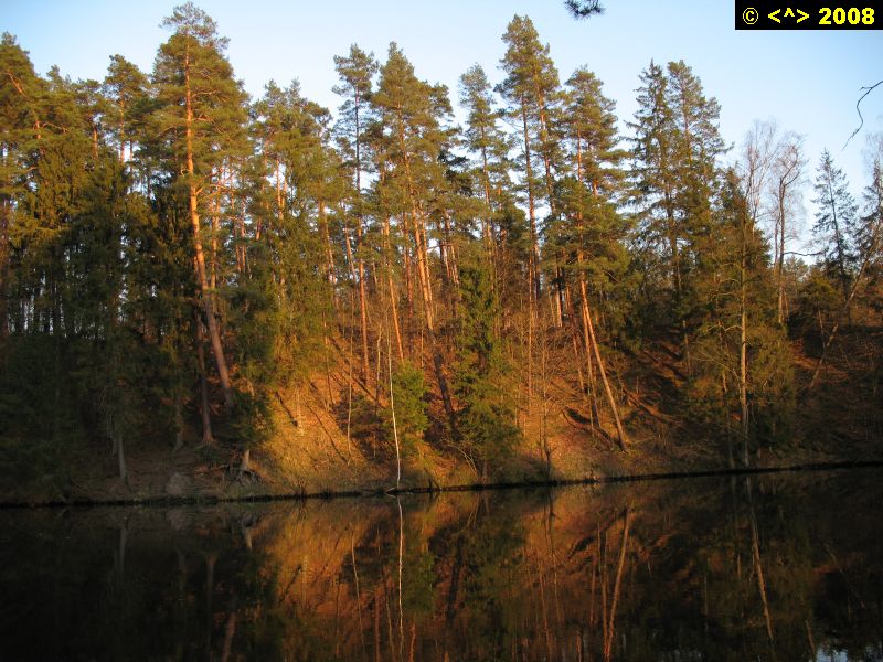 P0000138.jpg