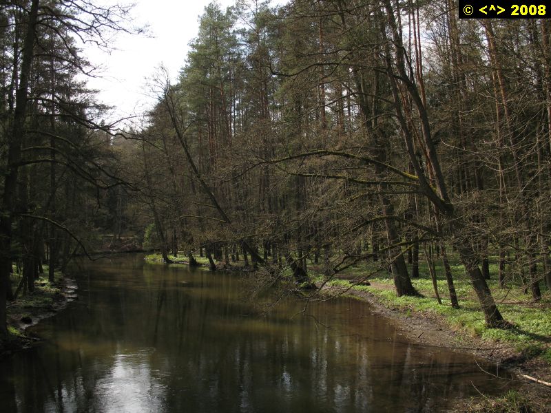 P0000140.jpg