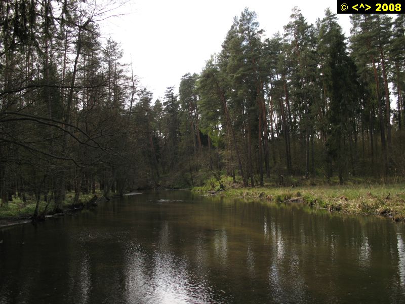 P0000143.jpg