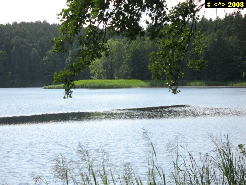 P0000196.jpg
