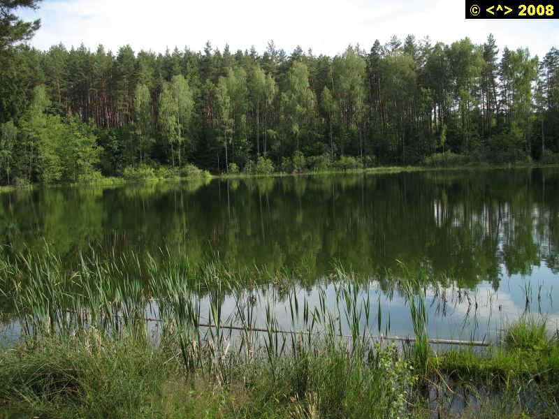 P0000199.jpg