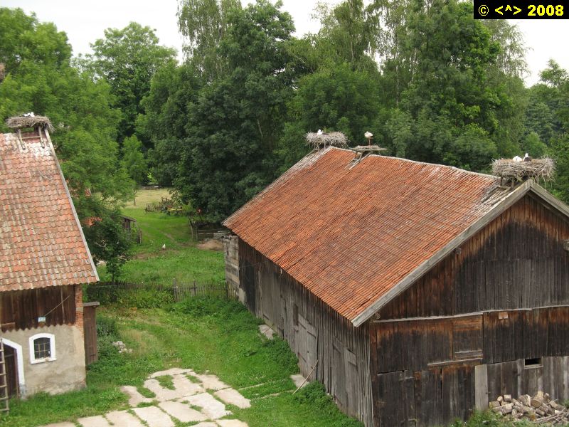 P0000206.jpg
