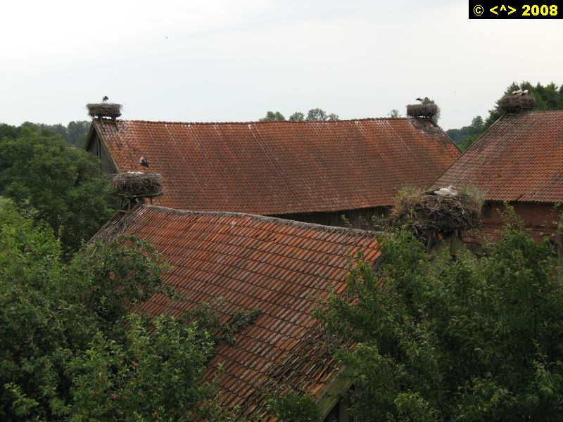 P0000207.jpg
