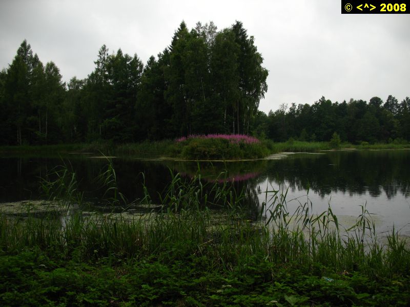 P0000208.jpg