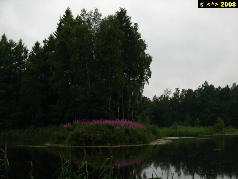 P0000209.jpg