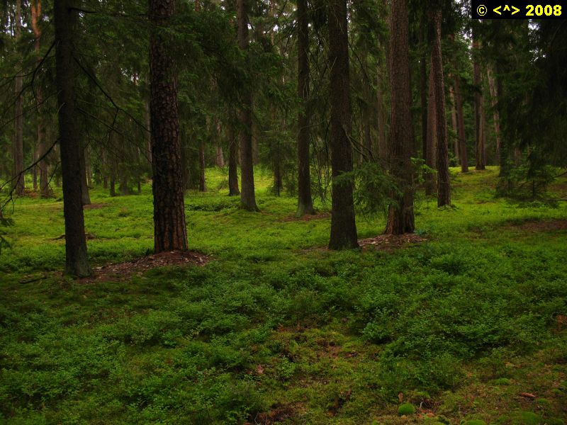 P0000246.jpg