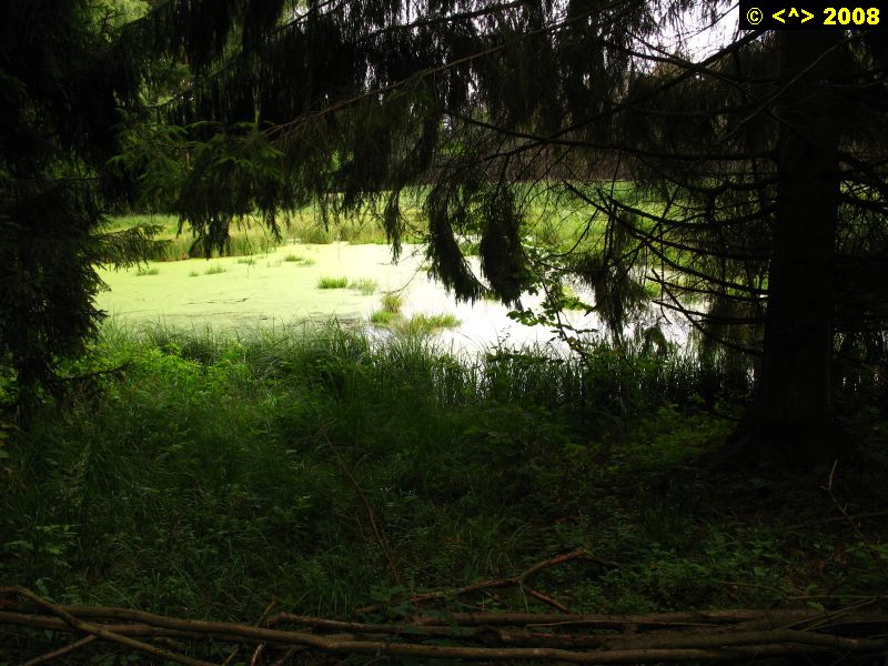 P0000252.jpg