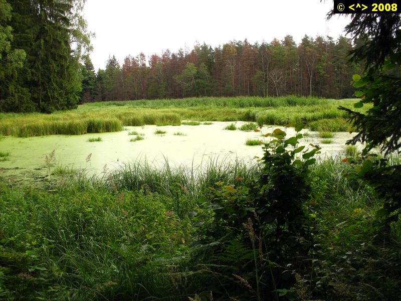 P0000253.jpg