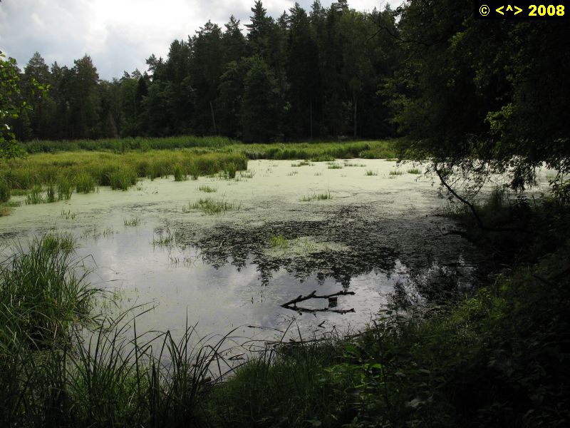 P0000255.jpg