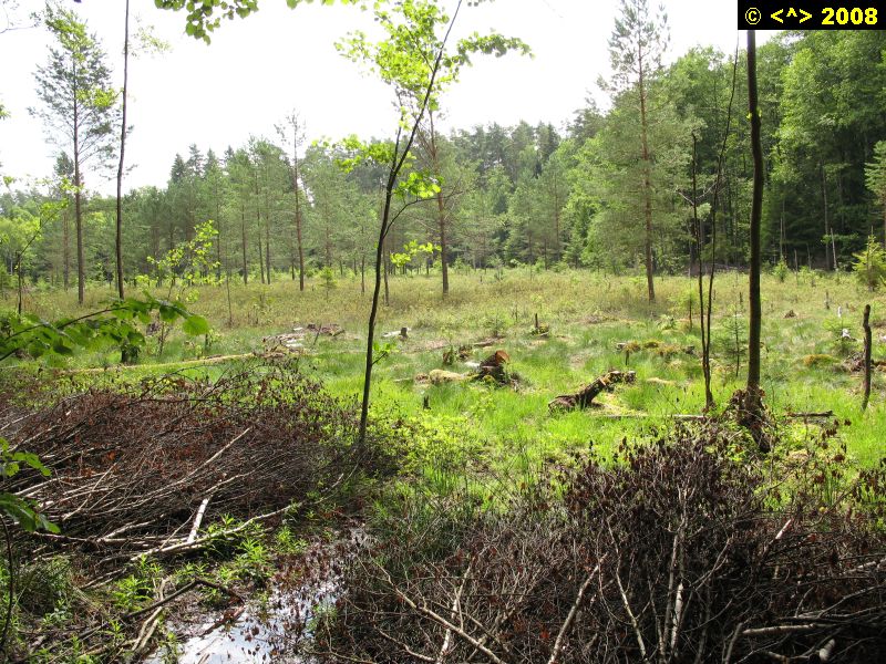 P0000256.jpg