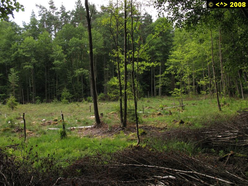 P0000257.jpg