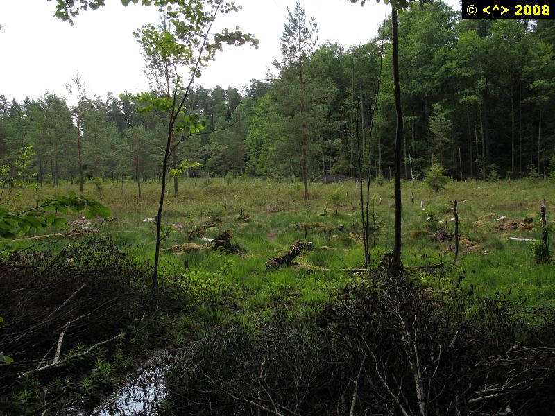 P0000258.jpg