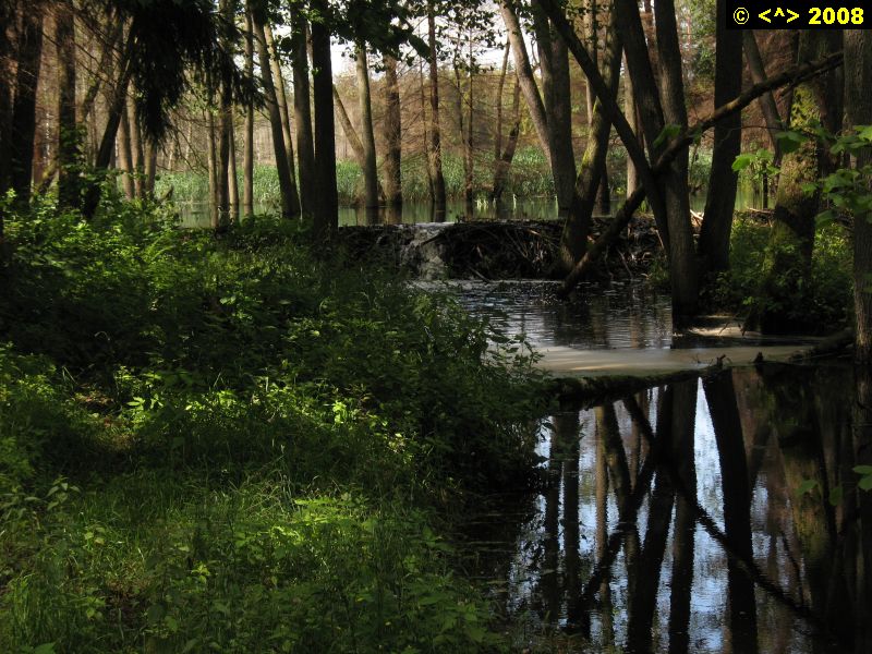 P0000261.jpg