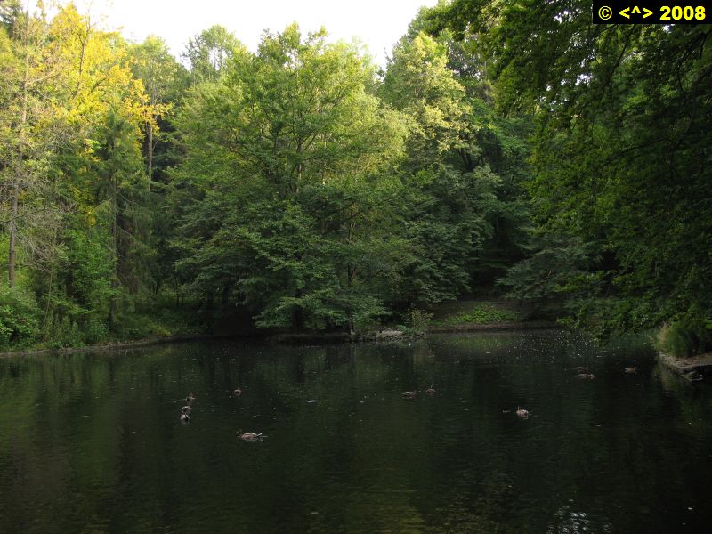 P0000349.jpg
