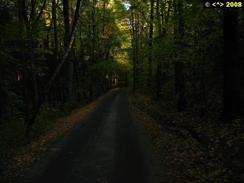 P0000365.jpg