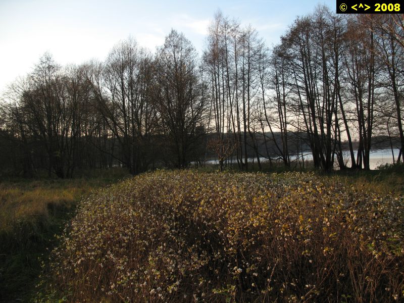 P0000371.jpg
