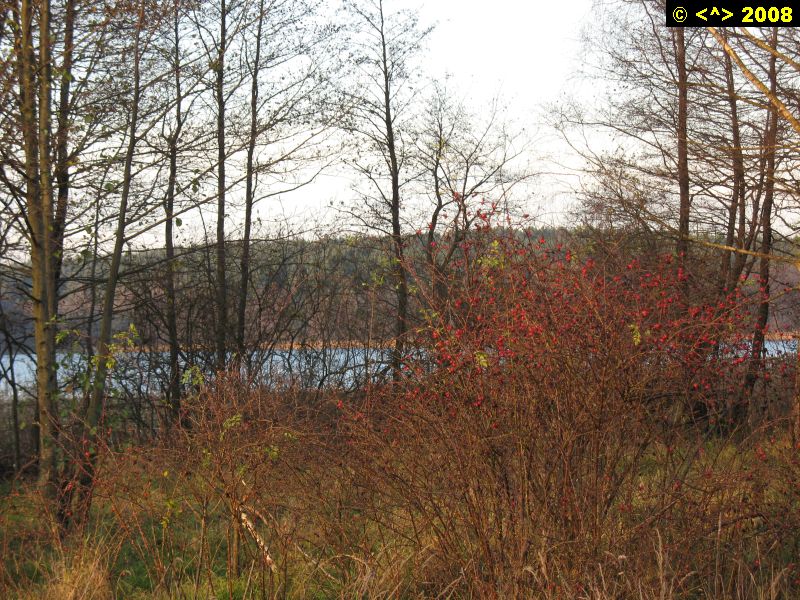 P0000372.jpg