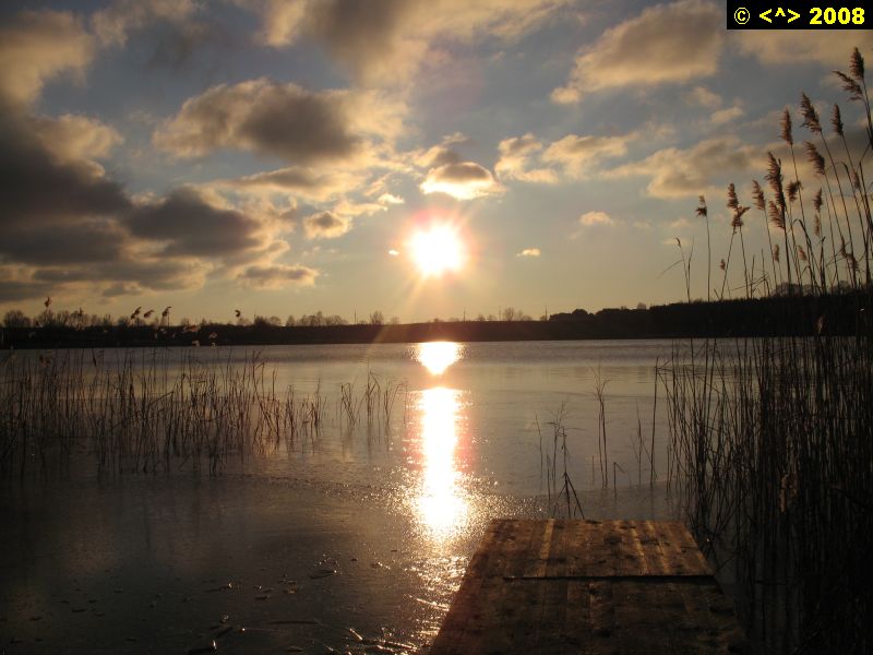 P0000378.jpg