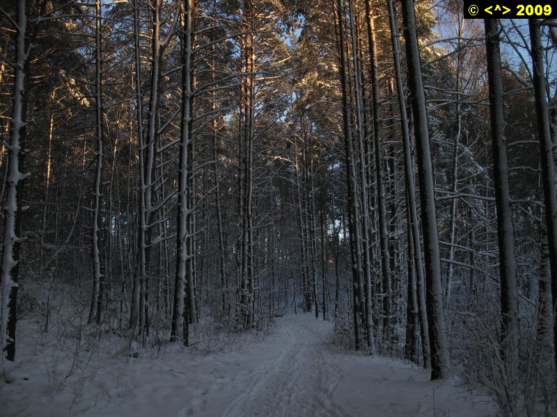 P0000381.jpg