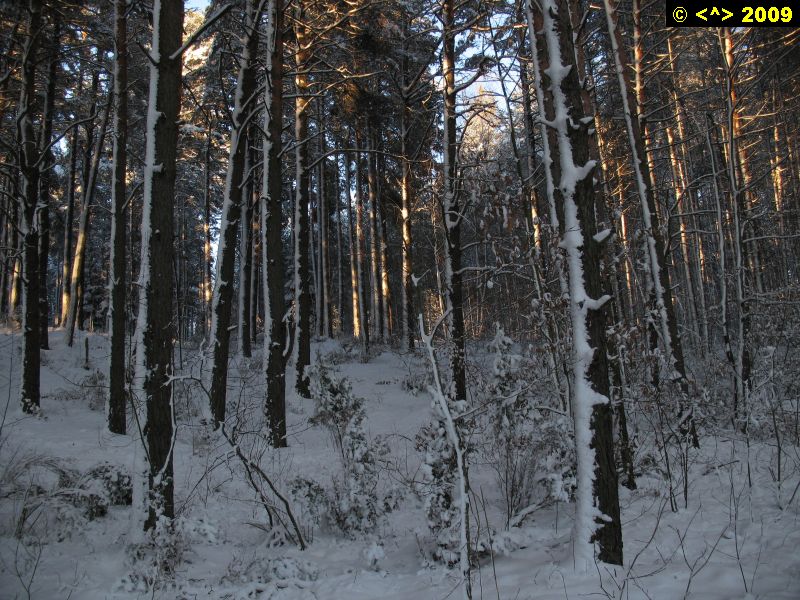 P0000382.jpg